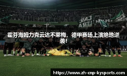 开云kaiyun网页版