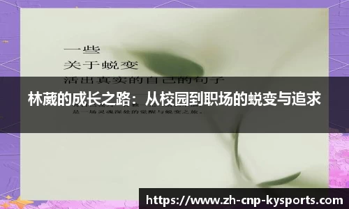 开云kaiyun首页