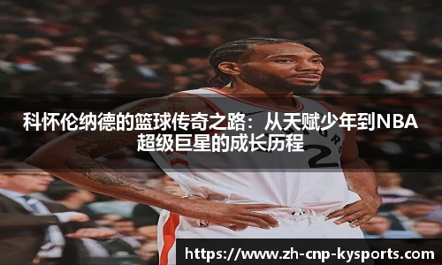 开云kaiyun网页版